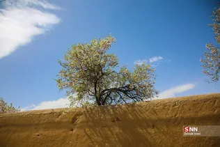 4234