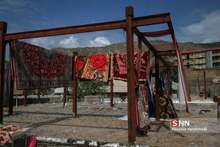 سیل5