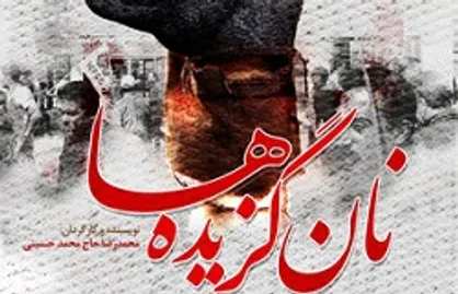 کارگردان &laquo;نان گزیده&zwnj;ها&raquo;: مستند پخش شده از تلویزیون مورد تایید من نیست