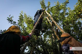 435345