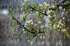 صدور هشدار نارنجی هواشناسی در خراسان شمالی