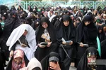 دبب