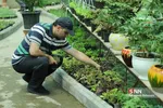 روز گل وگیاه-بازار گل و گیاه شهید فکوری