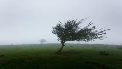 هشدار وزش بادگرم در گیلان