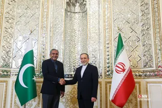 دیدار وزیر کشور پاکستان با وزیر امورخارجه جمهوری اسلامی ایران