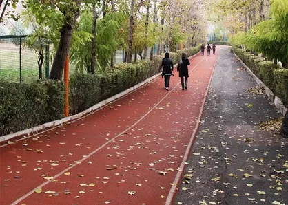 جاده&zwnj; تندرستی و تجهیزات ورزشی در سرا&zwnj;های دانشجویی احداث می&zwnj;شود