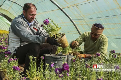 آماده سازی ۳۰۰ هزار گلدان برای استقبال از بهار