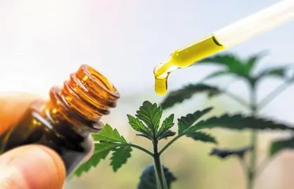 دو شرکت برای توسعه فناوری رهایش عصاره گیاه با نانوذرات ادغام می&zwnj;شوند