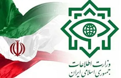 توضیحات معاون وزیر اطلاعات درباره دستگیری جاسوسان آمریکایی