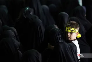مشهدد