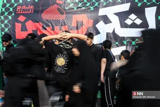 جاماندگان