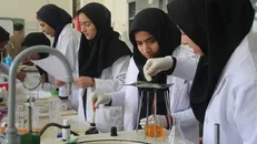 فعالیت ۲۷۰ پژوهش‌سرای دانش‌آموزی در حوزه گیاهان دارویی
