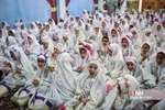 زیسرب