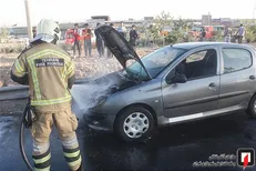 آتش سوزی پژو ۲۰۶ در بزرگراه آزادگان/ این حادثه هیچ گونه جراحت و مصدومیتی در بر نداشت +عکس