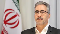 اسفنانی: تخلفات فروشگاه‌های زنجیره‌ای در حال بررسی است
