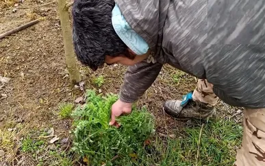 ضرورت جایگزینی کشت مواد مخدر با محصولات سودآور