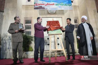 دبب