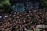 وحید1
