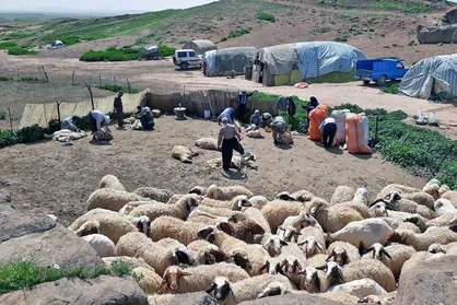 زندگی سخت عشایر سردشت دزفول: تلاش برای زنده ماندن در سایه بی&zwnj;توجهی مسئولان امور عشایر! +فیلم