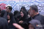 دبب
