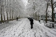 برف و باران در مناطقی از کشور/خلیج فارس مواج است
