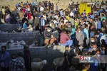 بازار دام