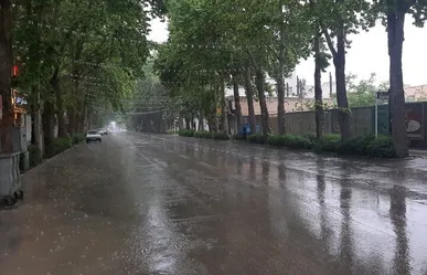 وزش باد و باران در زنجان