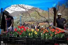 اعطای زمین به فارغ‌التحصیلان کشاورزی در تحقق اقتصاد مقاومتی نقش مهمی دارد/ دانشجویان متناسب با ظرفیت‌ها وارد رشته کشاورزی شوند