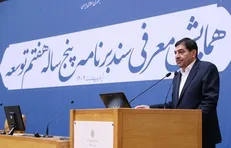 مخبر: نباید از مسکن، معیشت و مسائل رفاهی در امر فرزندآوری غافل شد