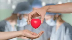 اهدای عضو دومین ایثارگر استان اردبیل در سال ۱۴۰۵