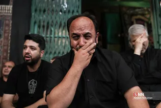 دبب