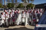 زیسرب
