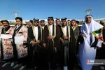 دبب