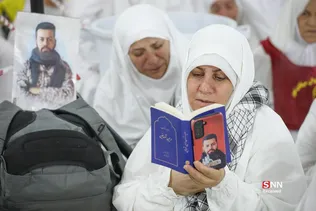دبب