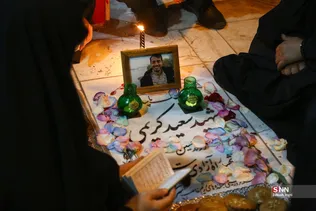 دبب