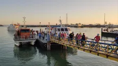انجام ۹۸ درصد سفرهای دریایی ایران در هرمزگان/توسعه بنادر و ایجاد زیرساخت‌ها در دستور کار