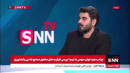 امینی: نظر بخش خصوصی این است که دولت یارانه را به مصرف&zwnj;کننده بدهد تا تجارت ما آزاد شود