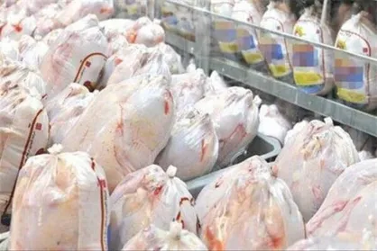 قیمت انواع گوشت مرغ تازه، بسته بندی و قطعه بندی اعلام شد