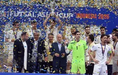 یوز‌های ایران بر بام آسیا
