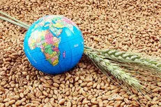 امنیت غذایی مردم تحت تأثیر پاندمی کووید ۱۹ قرار گرفت