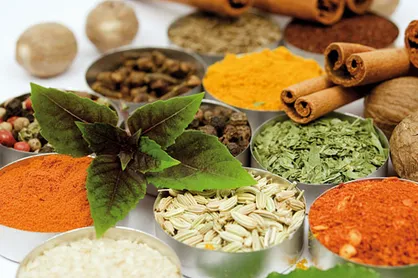 ادعای نظارت بر همه مراکز غیرقانونی طب سنتی را نداریم