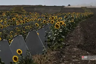 345345