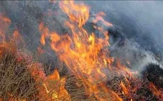 اعزام بالگرد از تهران برای اطفای حریق جنگل مریوان