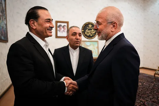 دیدار رئیس مجلس شورای اسلامی با فرمانده ارتش پاکستان