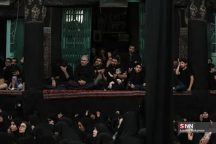 دبب