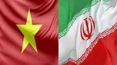 تصویب لایحه معاهده معاضدت حقوقی متقابل در امور کیفری محکومین بین ایران و ویتنام در مجلس