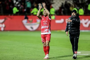دبب