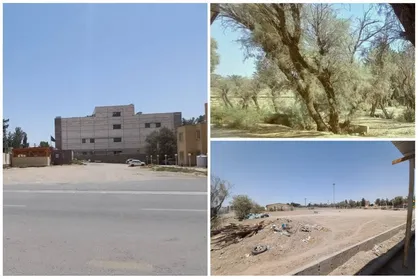 سرپرست راه آهن جنوب&zwnj;شرق&zwnj; انتقاد مردمی قطع درختان را به حاشیه برد!