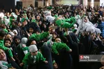 شیرخوارگان