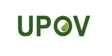 پیوستن به کنوانسیون UPOV، اقدامی معارض با حمایت از تولیدکنندگان داخلی است
